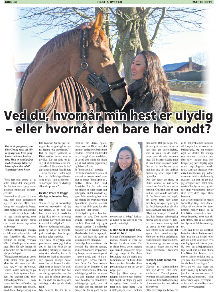Ditte Young | Forfatter | Dyretelepatør | Clairvoyant | Equicoach | Underviser på Dyretelepatør Uddannelsen