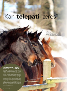 Ditte Young | Forfatter | Dyretelepatør | Clairvoyant | Equicoach | Underviser på Dyretelepatør Uddannelsen