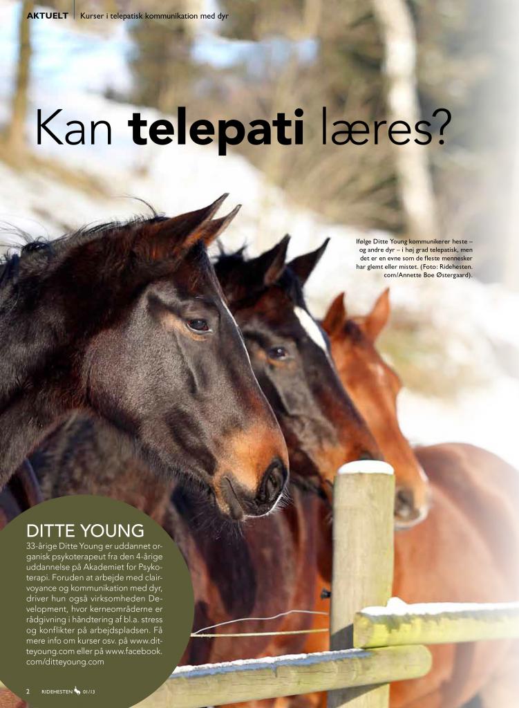Ditte Young | Forfatter | Dyretelepatør | Clairvoyant | Equicoach | Underviser på Dyretelepatør Uddannelsen