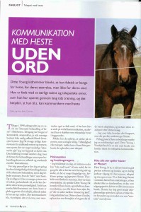 Ditte Young | Forfatter | Dyretelepatør | Clairvoyant | Equicoach | Underviser på Dyretelepatør Uddannelsen