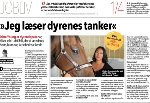 Ditte Young | Forfatter | Dyretelepatør | Clairvoyant | Equicoach | Underviser på Dyretelepatør Uddannelsen