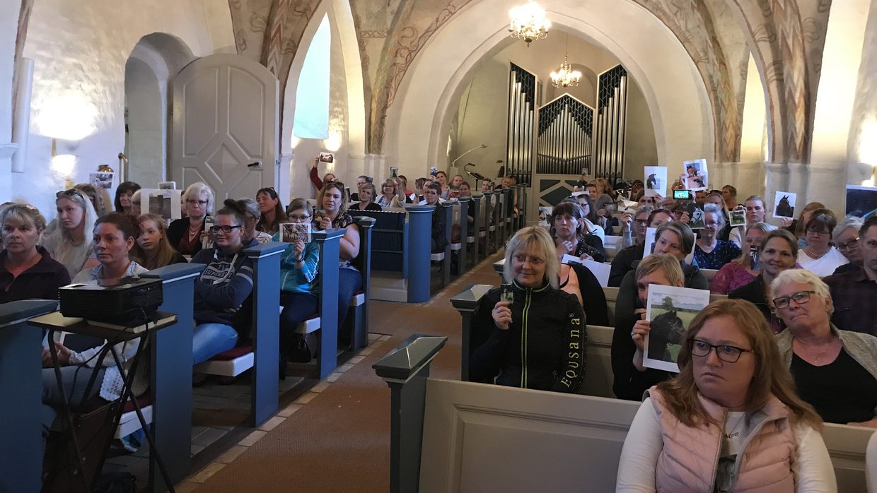 Ditte Young | Forfatter | Dyretelepatør | Clairvoyant | Equicoach | Underviser på Dyretelepatør Uddannelsen