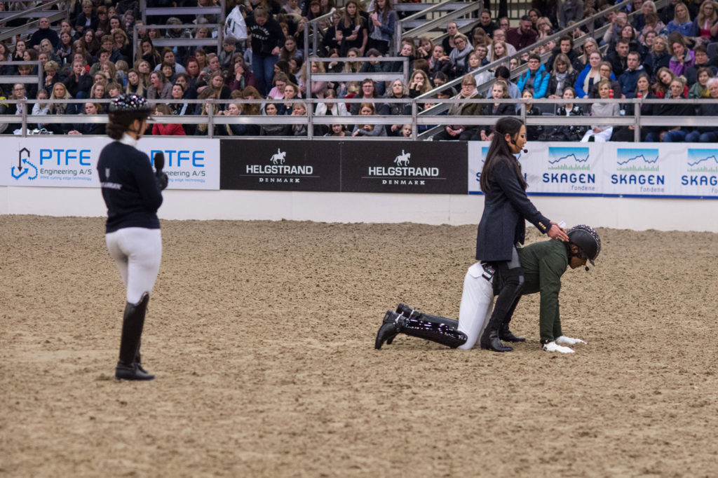 Ditte Young | Forfatter | Dyretelepatør | Clairvoyant | Equicoach | Underviser på Dyretelepatør Uddannelsen