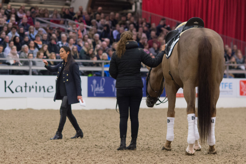 Ditte Young | Forfatter | Dyretelepatør | Clairvoyant | Equicoach | Underviser på Dyretelepatør Uddannelsen