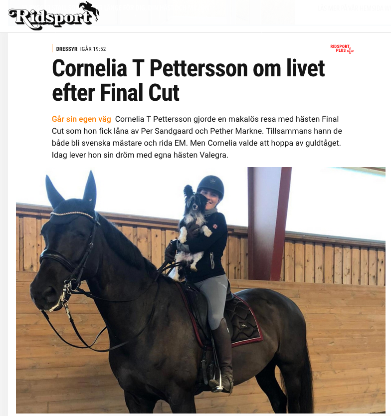 Ditte Young | Forfatter | Dyretelepatør | Clairvoyant | Equicoach | Underviser på Dyretelepatør Uddannelsen