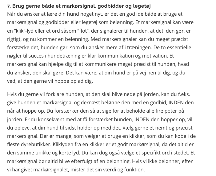 Gode råd til hundeejere - sådan får du en gladere hund 