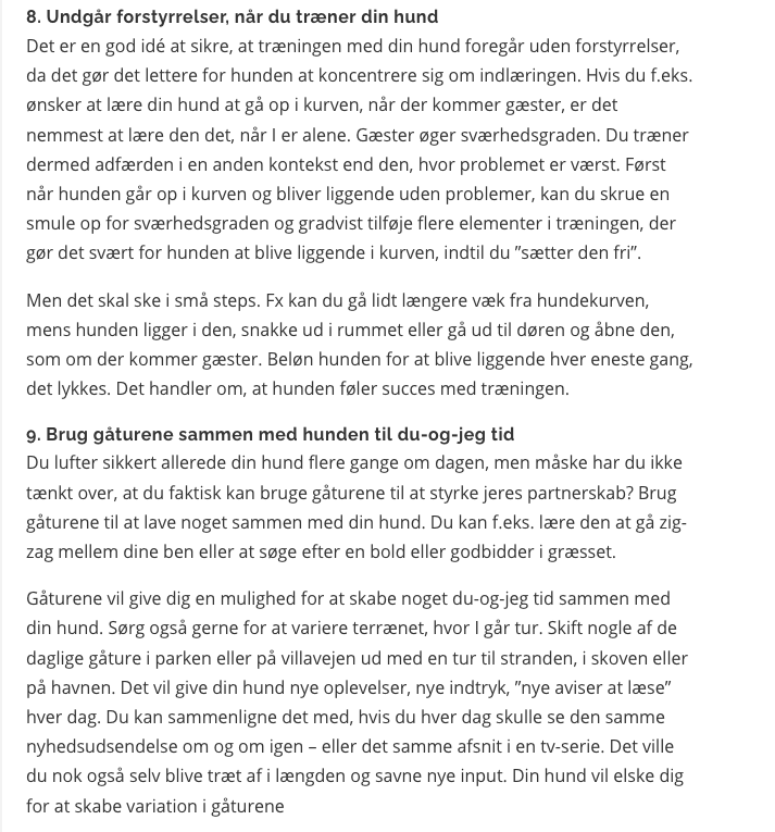 Gode råd til hundeejere - sådan får du en gladere hund 