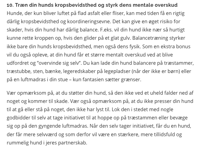 Gode råd til hundeejere - sådan får du en gladere hund 