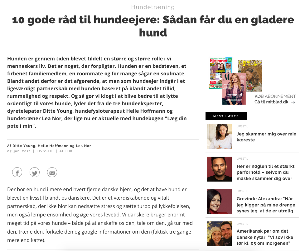 Gode råd til hundeejere - sådan får du en gladere hund 