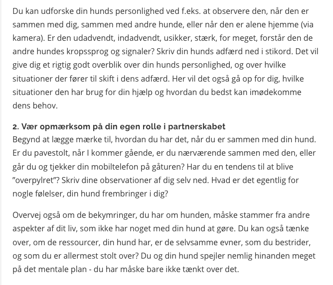 Gode råd til hundeejere - sådan får du en gladere hund 