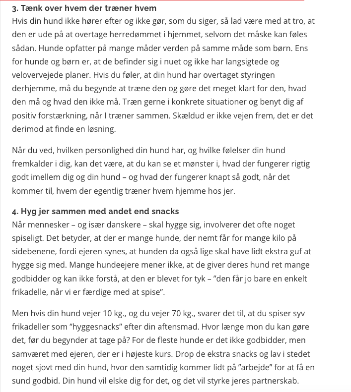Gode råd til hundeejere - sådan får du en gladere hund 