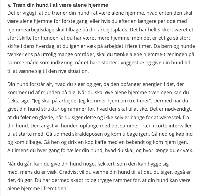 Gode råd til hundeejere - sådan får du en gladere hund 