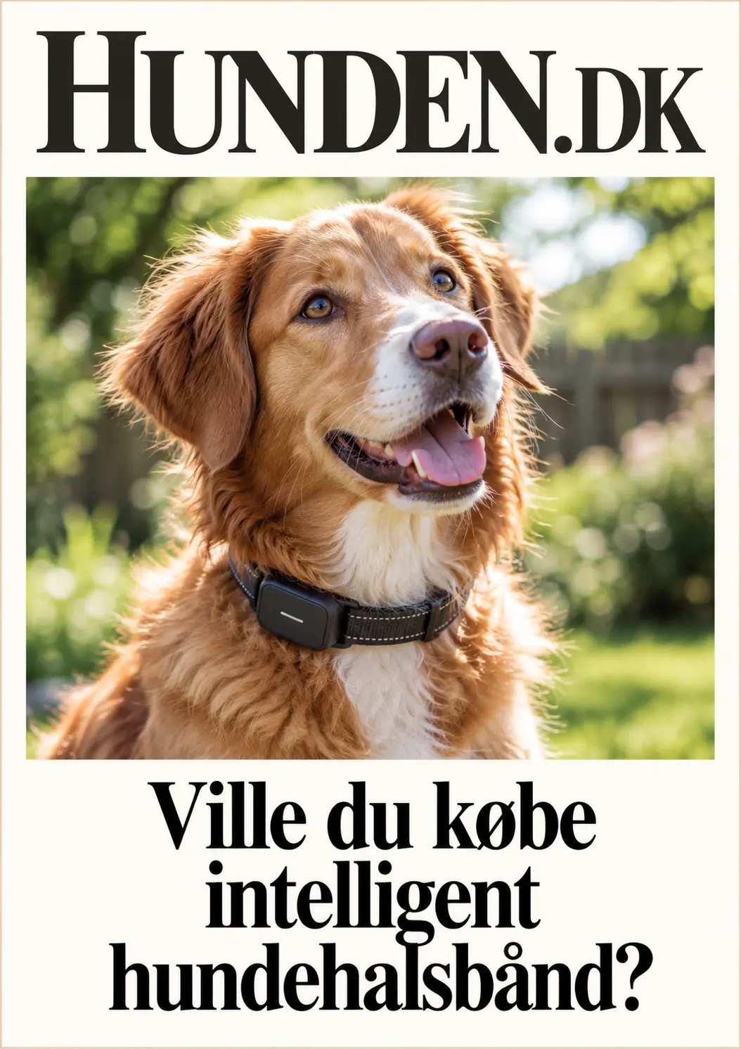 Hunden.dk