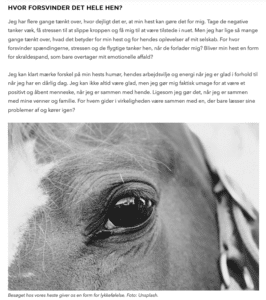 Ditte Young | Forfatter | Dyretelepatør | Clairvoyant | Equicoach | Underviser på Dyretelepatør Uddannelsen