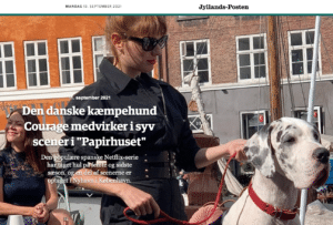 Jyllands-Posten: Dansk kæmpehund medvirker i 7 scener i Papirhuset