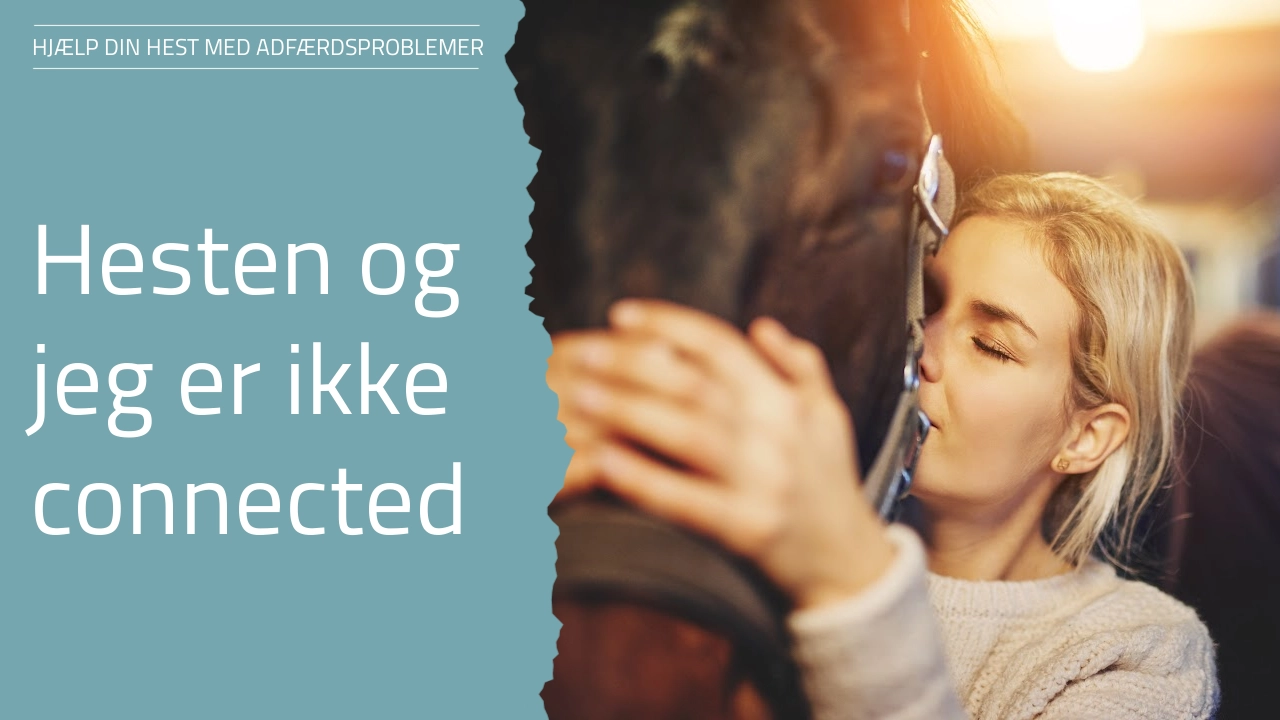 Ditte Young | Forfatter | Dyretelepatør | Clairvoyant | Equicoach | Underviser på Dyretelepatør Uddannelsen