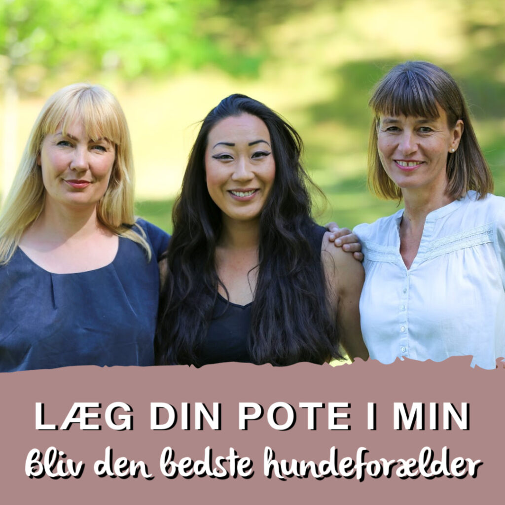 Ditte Young | Forfatter | Dyretelepatør | Clairvoyant | Equicoach | Underviser på Dyretelepatør Uddannelsen