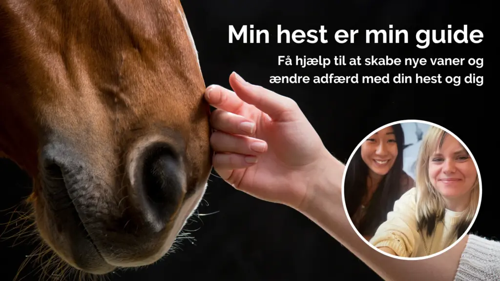Ditte Young | Forfatter | Dyretelepatør | Clairvoyant | Equicoach | Underviser på Dyretelepatør Uddannelsen