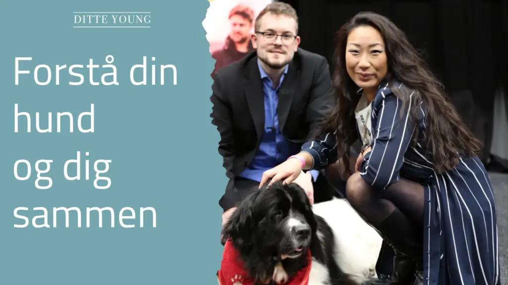 Ditte Young | Forfatter | Dyretelepatør | Clairvoyant | Equicoach | Underviser på Dyretelepatør Uddannelsen