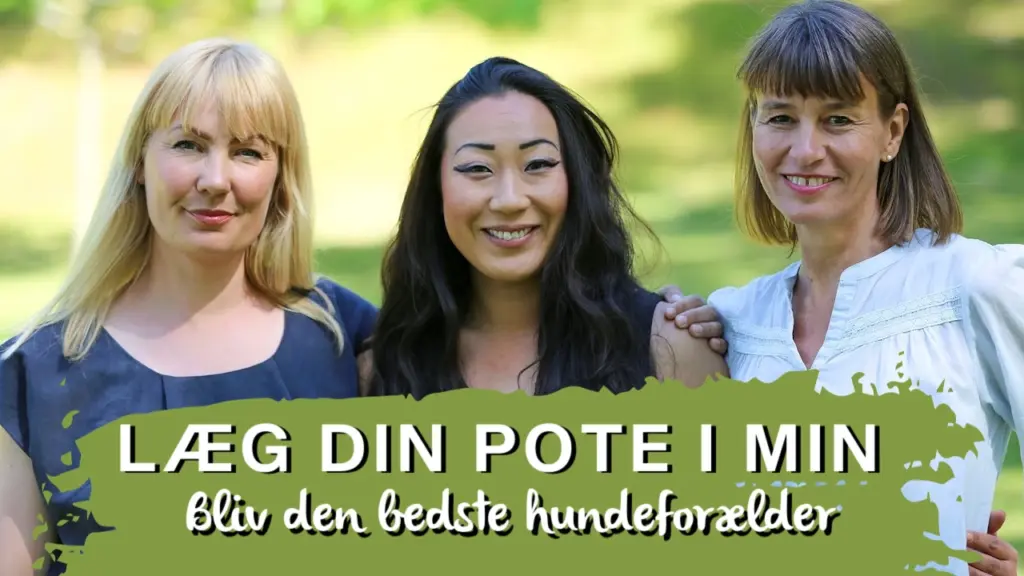Ditte Young | Forfatter | Dyretelepatør | Clairvoyant | Equicoach | Underviser på Dyretelepatør Uddannelsen