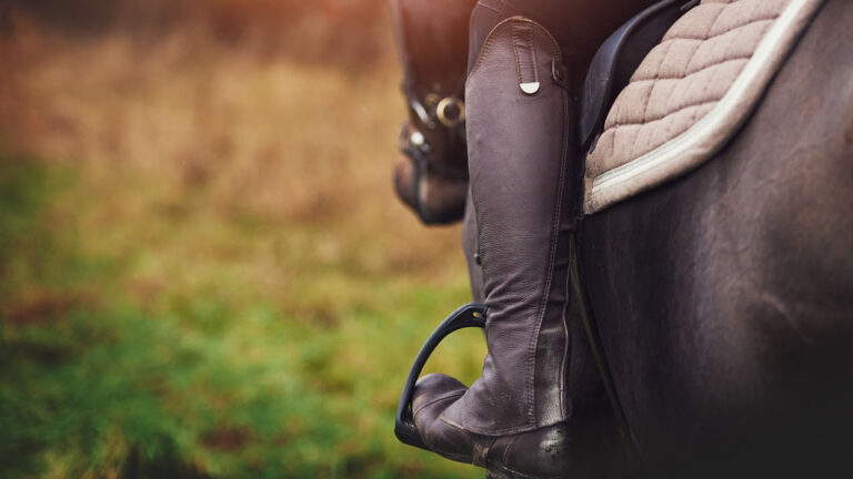 Ditte Young | Forfatter | Dyretelepatør | Clairvoyant | Equicoach | Underviser på Dyretelepatør Uddannelsen