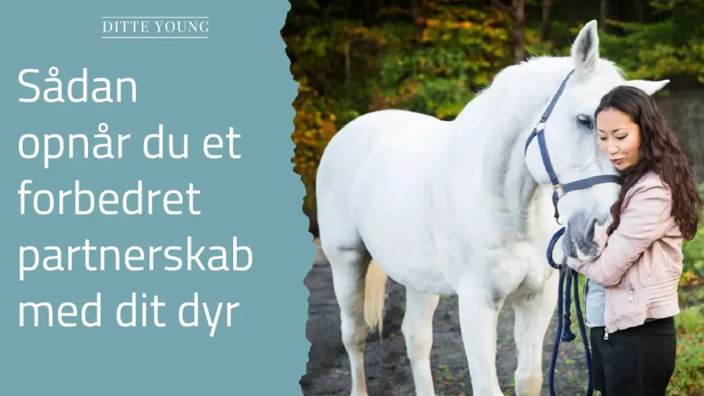 Ditte Young | Forfatter | Dyretelepatør | Clairvoyant | Equicoach | Underviser på Dyretelepatør Uddannelsen