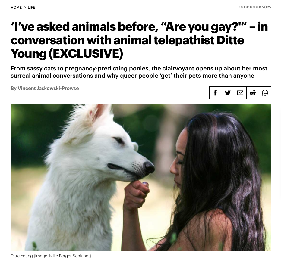 Ditte Young | Forfatter | Dyretelepatรธr | Clairvoyant | Equicoach | Underviser pรฅ Dyretelepatรธr Uddannelsen