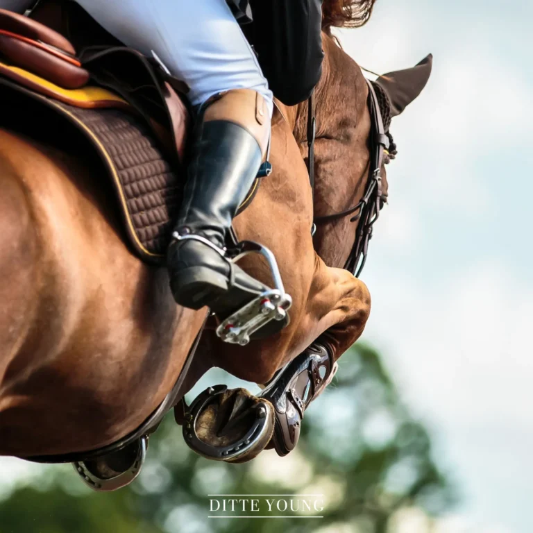 Ditte Young | Forfatter | Dyretelepatør | Clairvoyant | Equicoach | Underviser på Dyretelepatør Uddannelsen