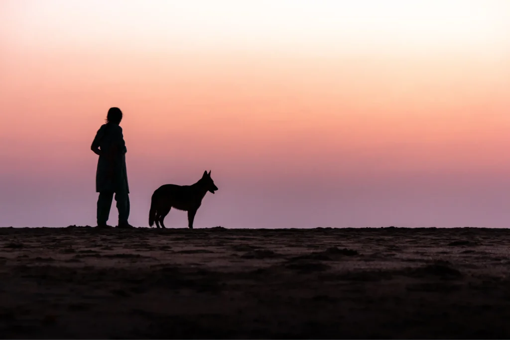 Ditte Young | Forfatter | Dyretelepatør | Clairvoyant | Equicoach | Underviser på Dyretelepatør Uddannelsen